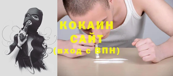 ГАЛЛЮЦИНОГЕННЫЕ ГРИБЫ Наволоки