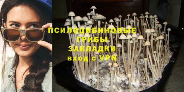 ГАЛЛЮЦИНОГЕННЫЕ ГРИБЫ Наволоки