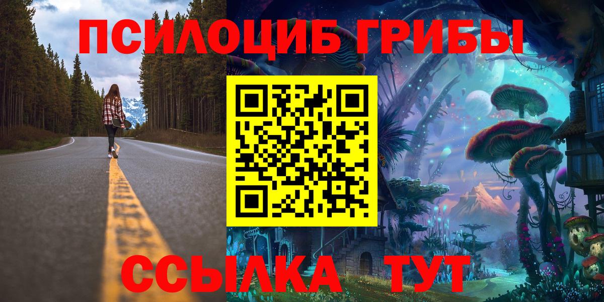 купить закладку  Псилоцибиновые грибы MAGIC MUSHROOMS  Вход с VPN  Галлюциногенные грибы GOLDEN TEACHER  Торжок 