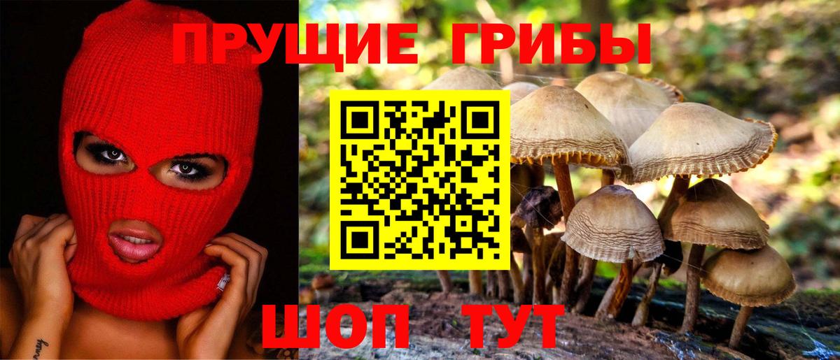 Псилоцибиновые грибы Magic Shrooms Торжок