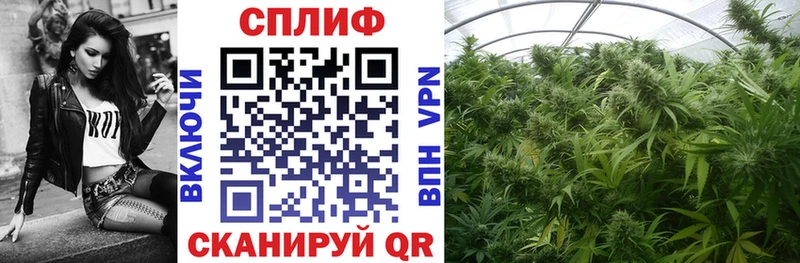 что такое наркотик  Торжок  МАРИХУАНА конопля 