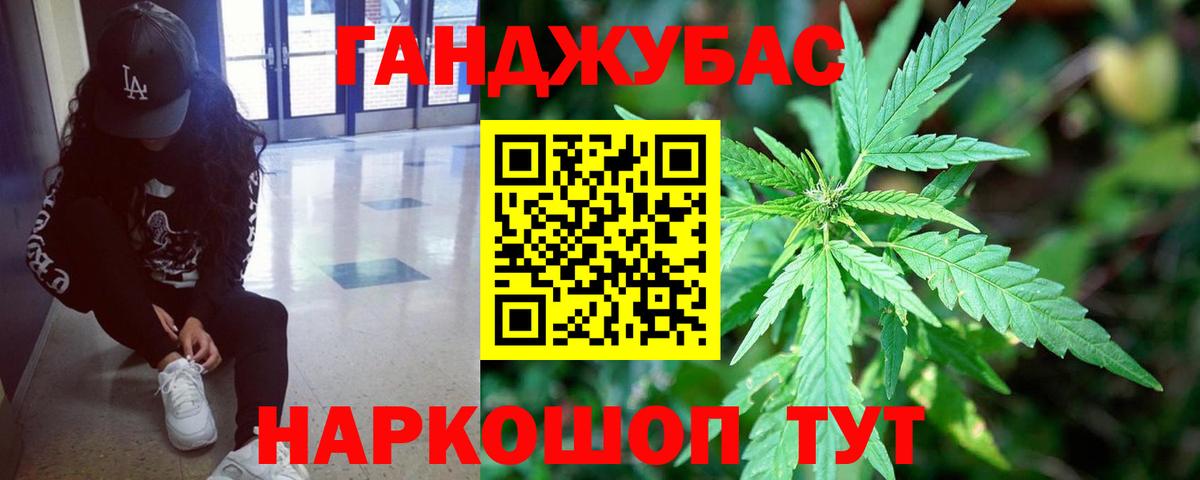 Каннабис план Торжок